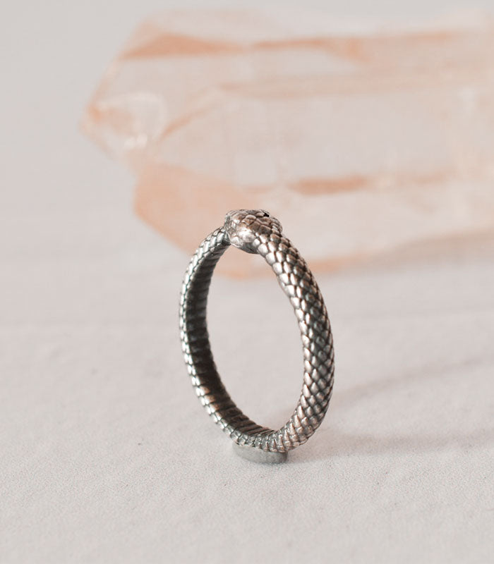 Anillo Ouroboro