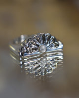 Anillo Ninfa
