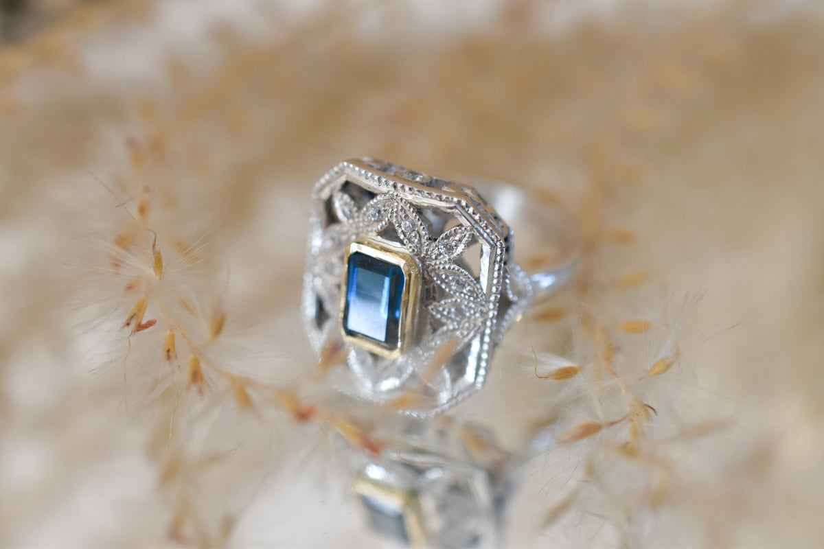 Anillo Maga