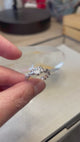 Anillo Lía