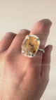 Anillo Rama de Luna