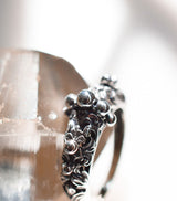 Anillo Beatrice