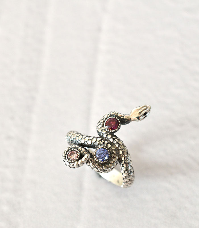 Anillo Apis Multicolor