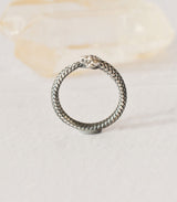 Anillo Ouroboro